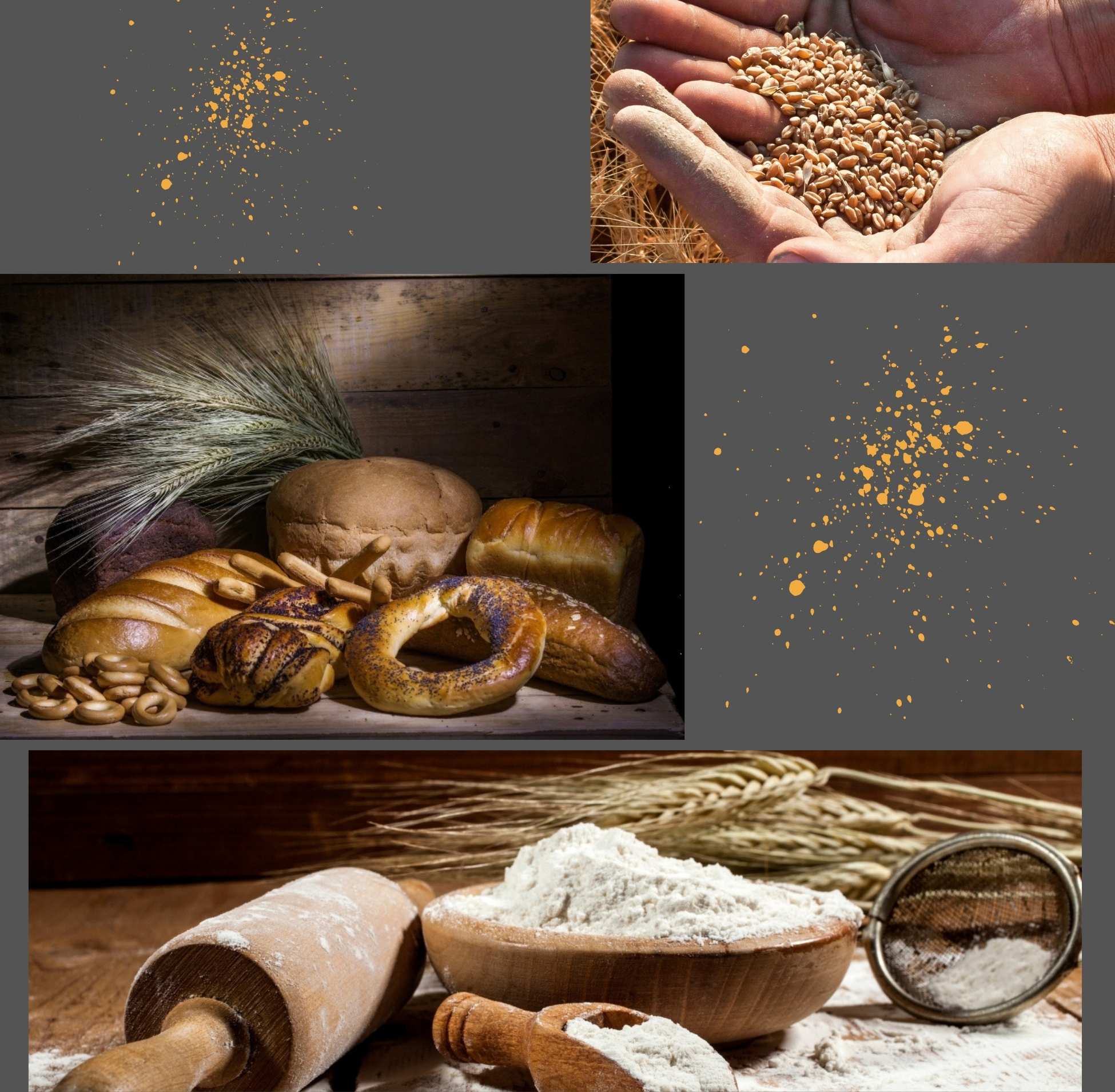 mechanic6-contact-pic1